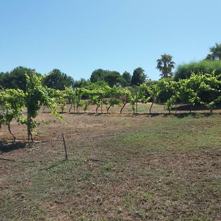 Villa Kos Μαστιχάρι Εξωτερικό φωτογραφία