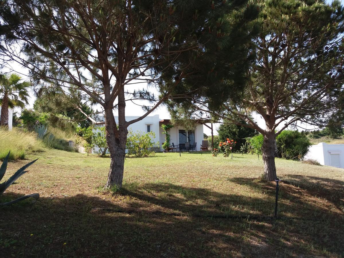 Villa Kos Μαστιχάρι Εξωτερικό φωτογραφία