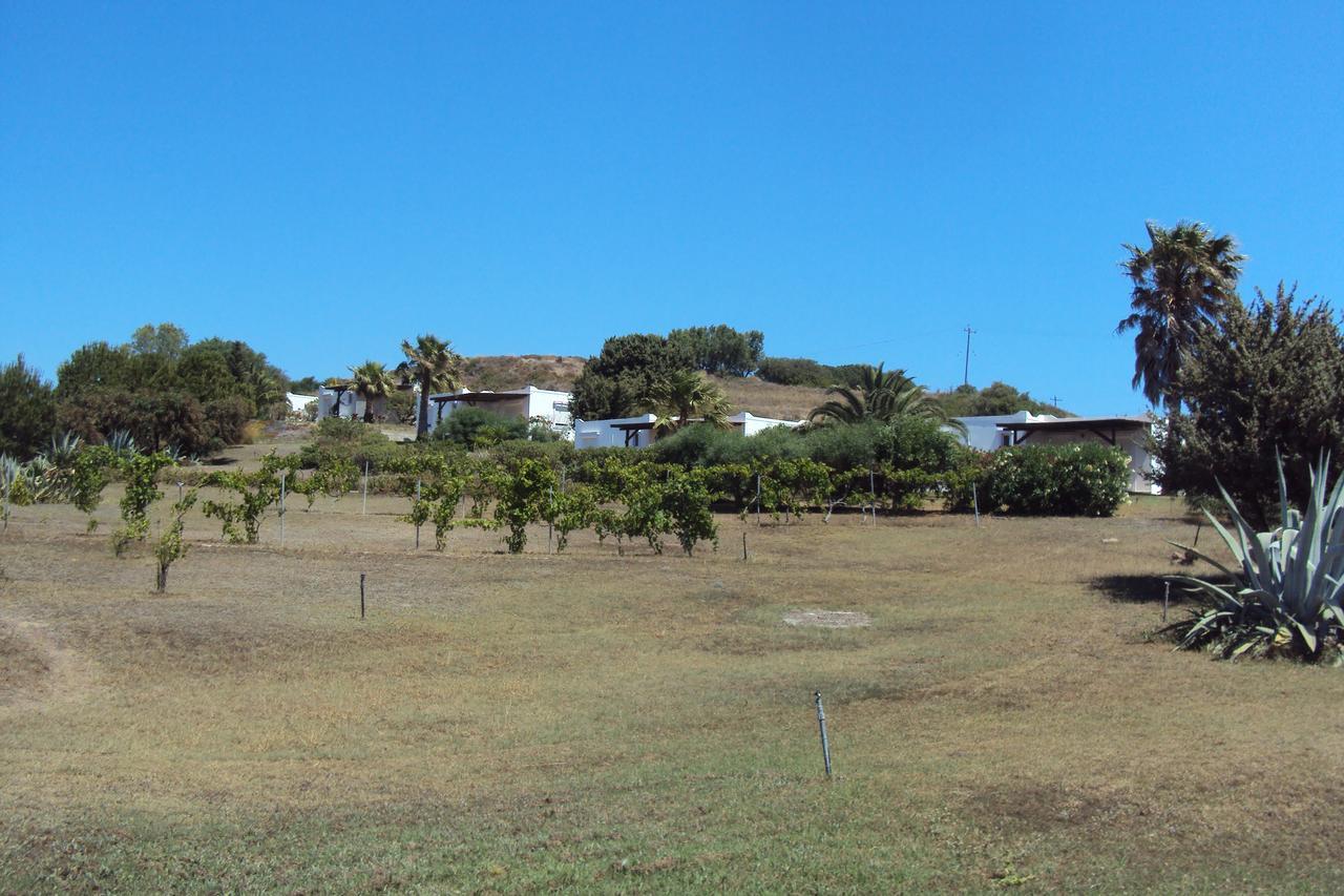 Villa Kos Μαστιχάρι Εξωτερικό φωτογραφία