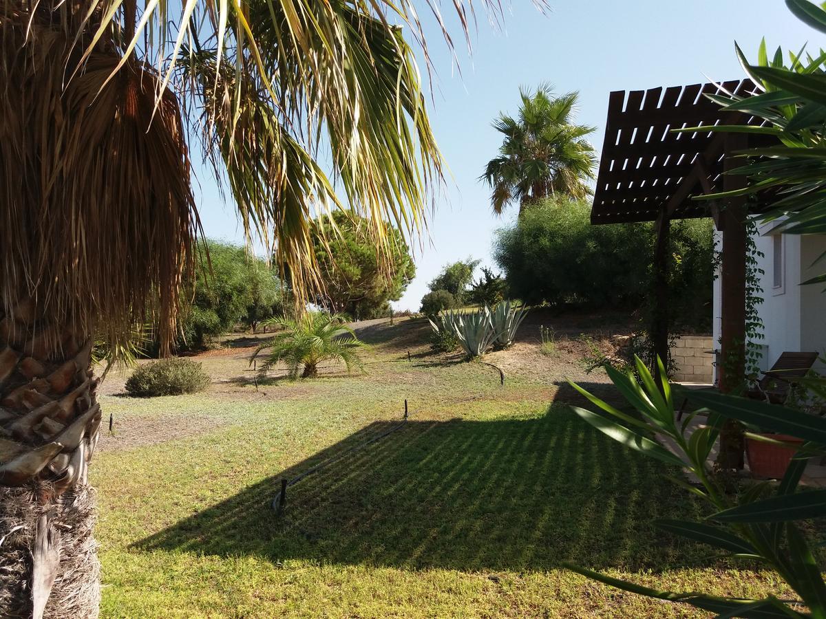 Villa Kos Μαστιχάρι Εξωτερικό φωτογραφία