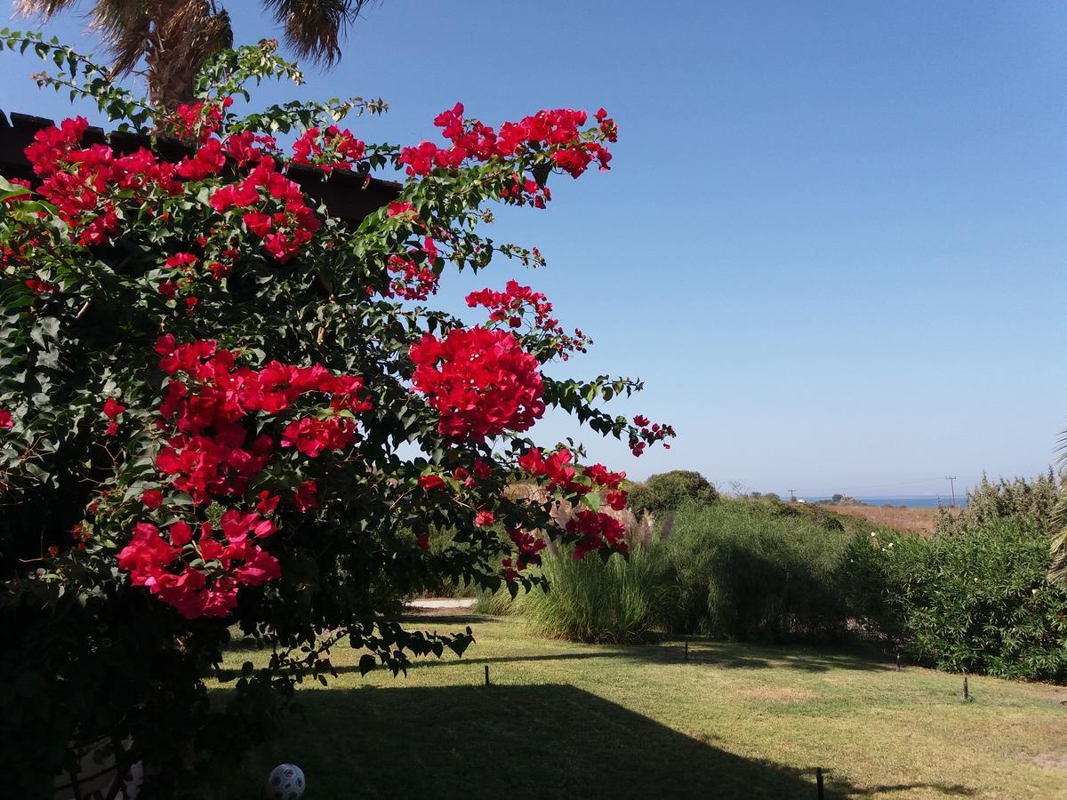 Villa Kos Μαστιχάρι Εξωτερικό φωτογραφία