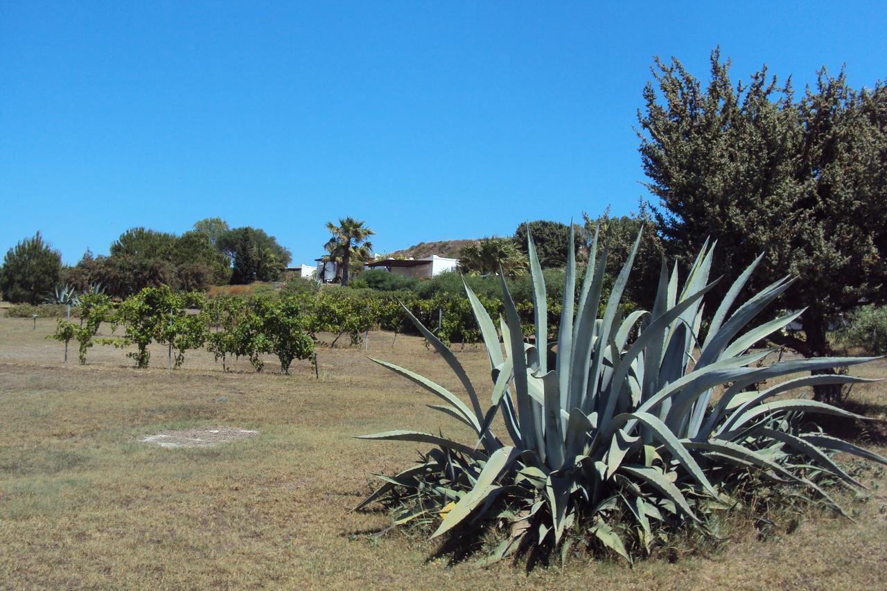 Villa Kos Μαστιχάρι Εξωτερικό φωτογραφία