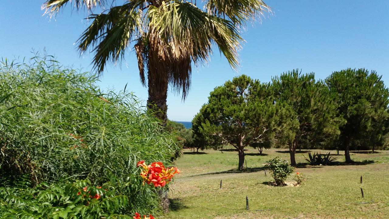 Villa Kos Μαστιχάρι Εξωτερικό φωτογραφία