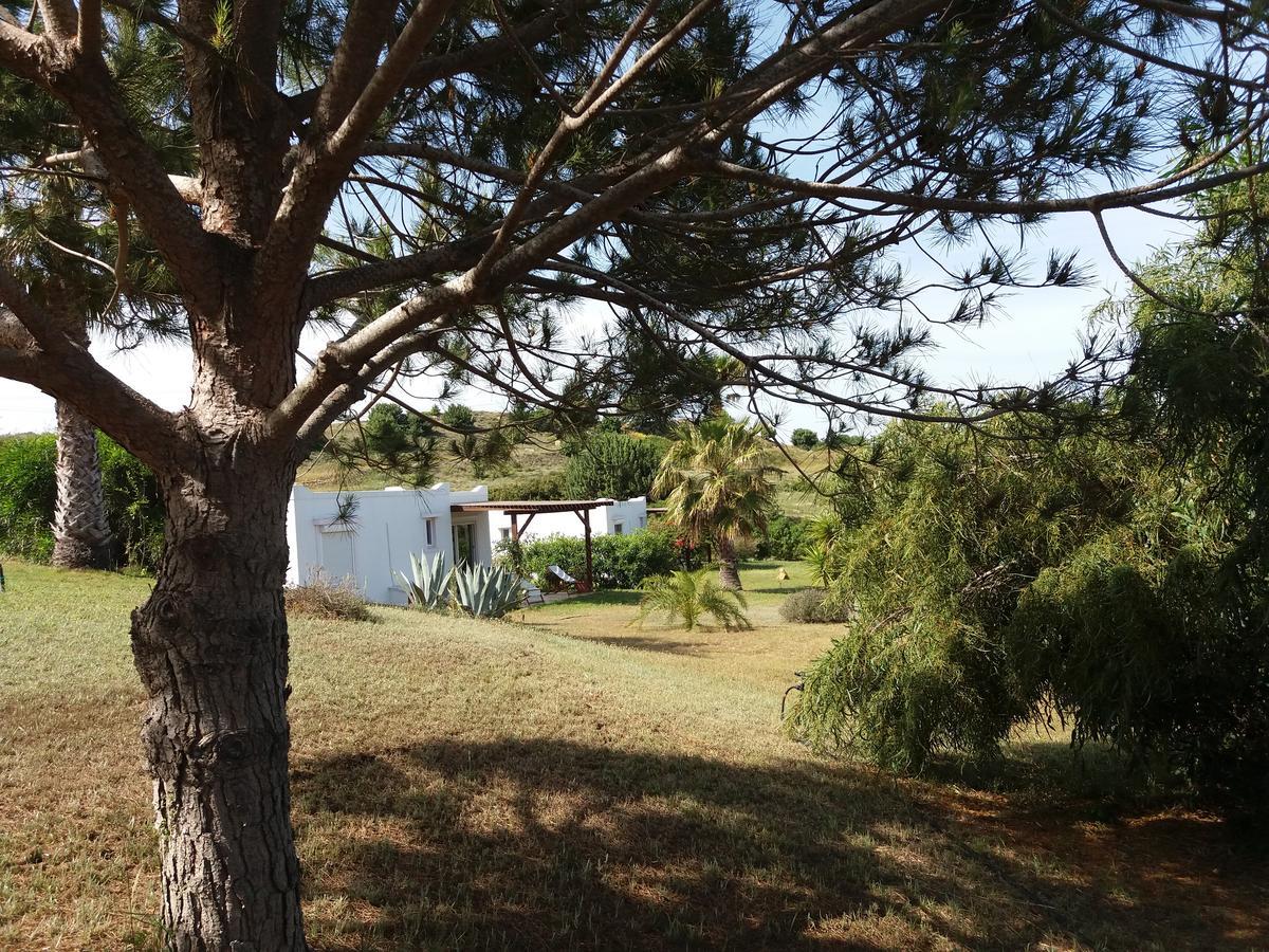 Villa Kos Μαστιχάρι Εξωτερικό φωτογραφία