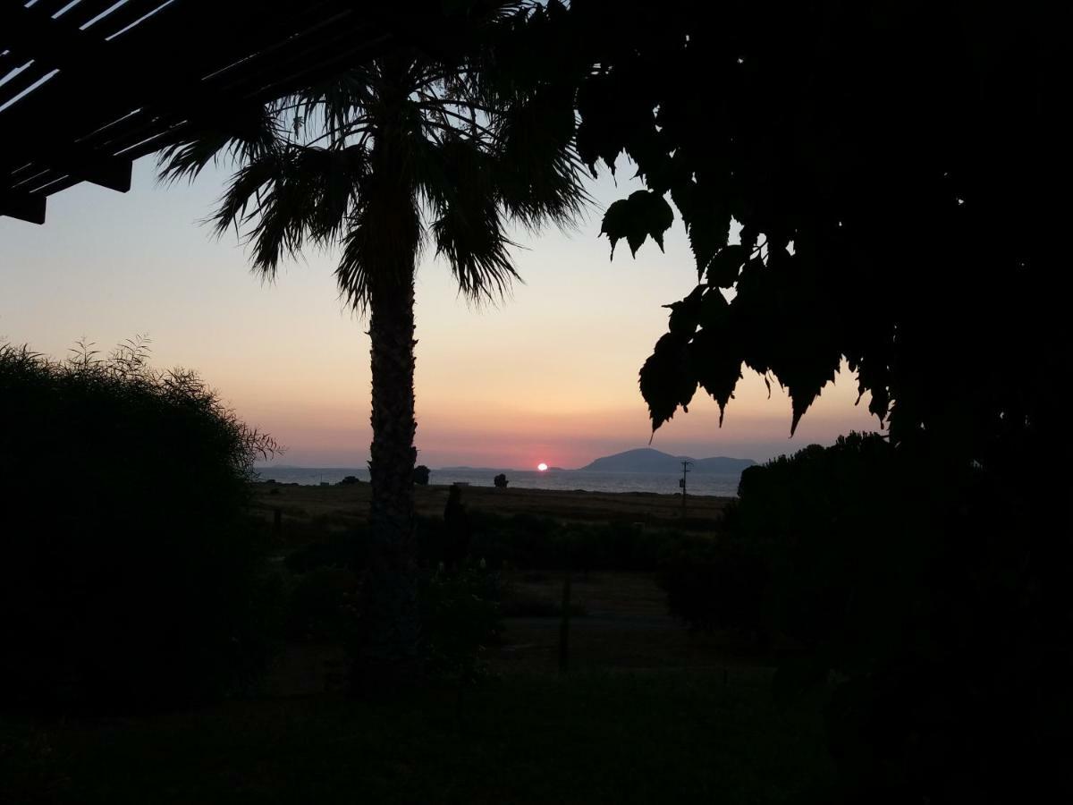 Villa Kos Μαστιχάρι Εξωτερικό φωτογραφία